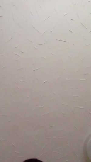 скоро будет сходка подписчиков