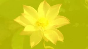 Звуковой массаж всех чакр: Чудо-Тона 174Гц, 285Гц, 396Гц, 417Гц, 528Гц, 639Гц, 741Гц, 852Гц, 963 Гц