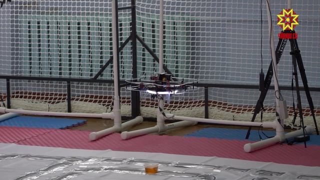 «Профессионалы – 2026»: 91 победитель из Чувашии отправится на межрегиональный этап смотреть онлайн