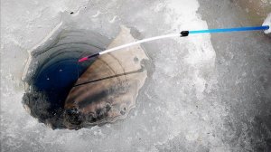 ВЫДАЛ СЕКРЕТ И ПОЙМАЛ! Кто Клюёт в РУСЛЕ реки в феврале?! Зимняя рыбалка 2026