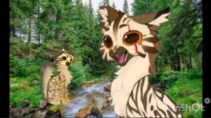 Я немного изменила аватар. Но цвет такой же🙃