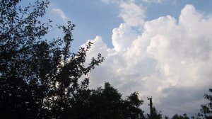 Ветер с моря дул