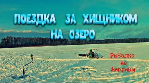 ✔️ Поездка за хищником на озеро Рыбалка на жерлицы