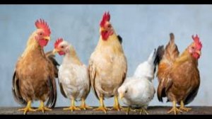 Между Украиной и Молдавией разгорелся торговый спор