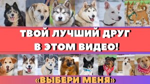 НАЙДИ ДРУГА ЗА ОДИН ПРОСМОТР!