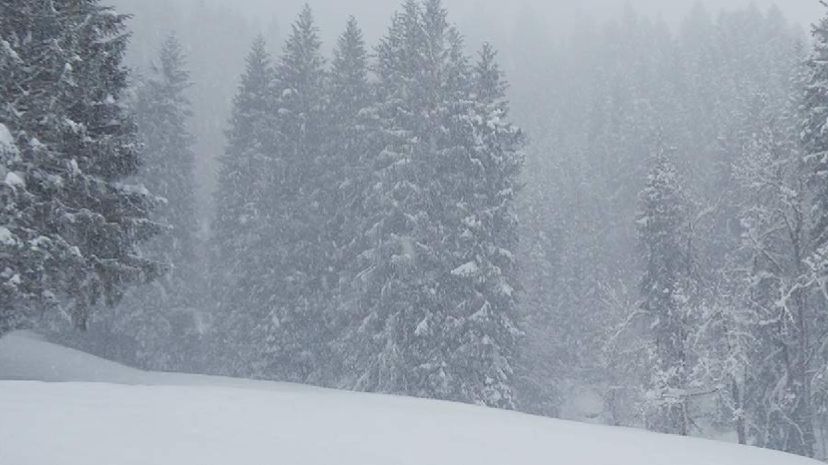 После схода лавины в Северной Калифорнии пропали без вести девять лыжников смотреть онлайн