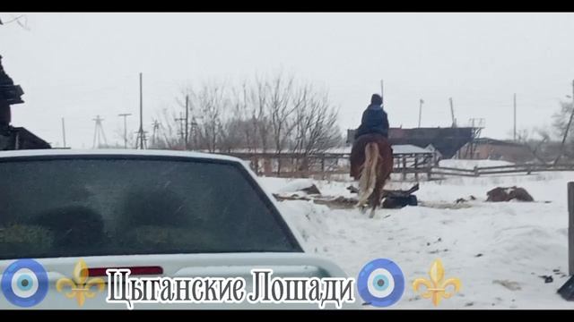 🧿⚜️цыганские лошади 🧿⚜️ 2026 г зор Бах чекайте описание ✅