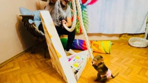 Посмотрите какая УМНАЯ и СМЕЛАЯ стала обезьянка Маня и КАК она помогает папе Владу строить комплекс