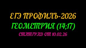 ЕГЭ ПРОФИЛЬ-2026 ГЕОМЕТРИЯ(14;17) СТАТГРАД ОТ10.02.26