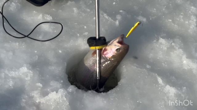 Спортзона.Поимки смотреть онлайн