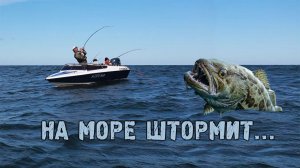Ловля трески в Балтийском море - мыс Таран | штормит