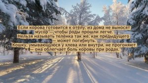 Народные приметы на 19 февраля 2026 года: что нельзя делать в день Вуколы Телятника