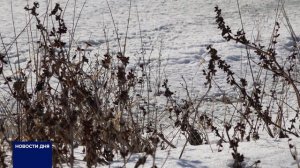 ОПАСНЫЙ ЛЕД