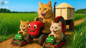 Сельская жизнь мамы-кошки и рыжеволосой Джинджер Трогательная история семьи кошек