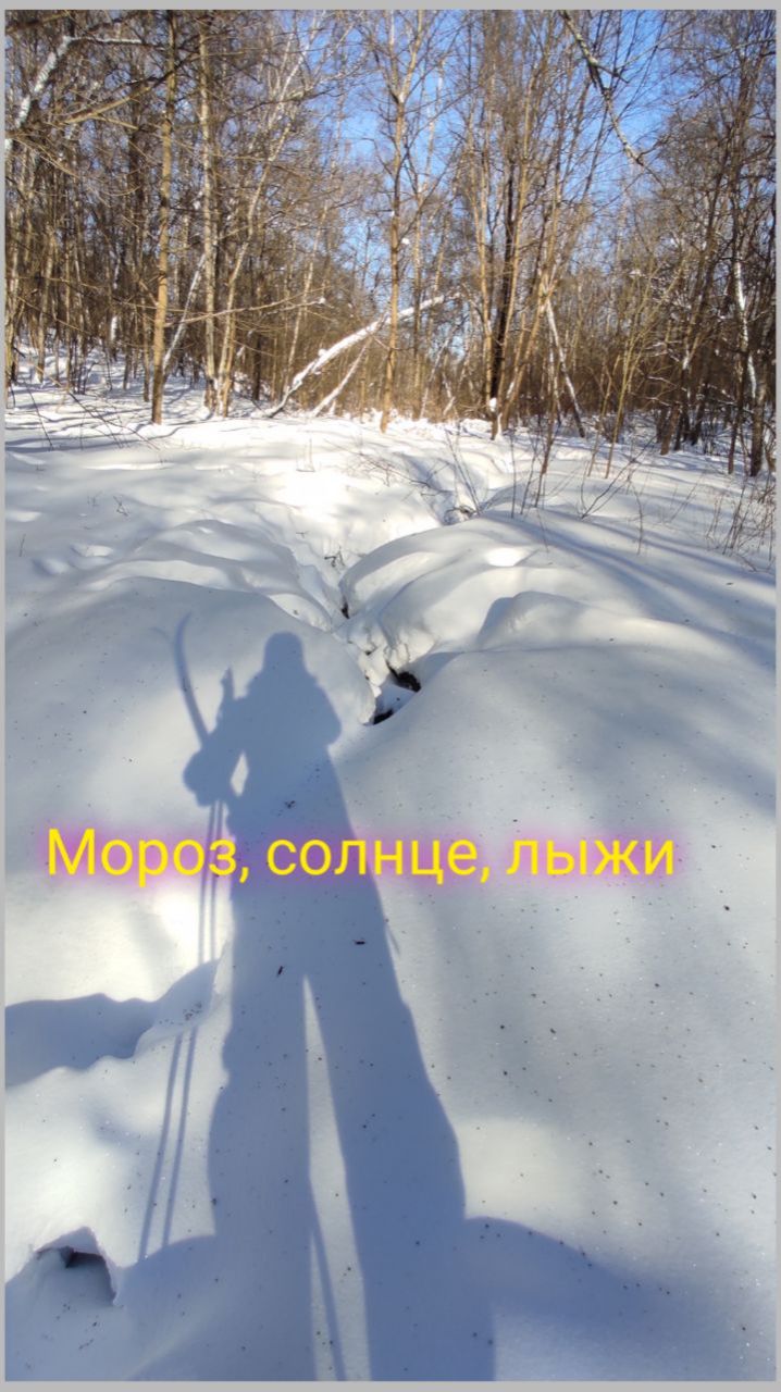 Лыжная прогулка в ясный и морозный день после вьюги