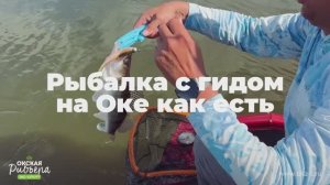Рыбалка на судака на Оке.