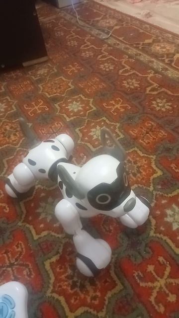 анна шро и ам ням и робот собака кодди приключения ам няма серия друг робот