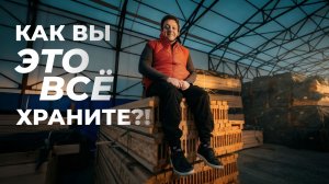 Пиломатериал без сюрпризов: как хранение и сушка влияют на качество будущего дома