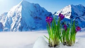 С добрым морозным утром. Шикарная музыкальная открытка.