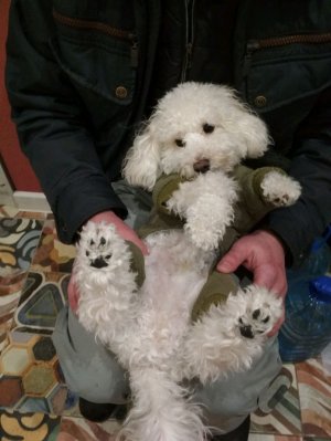 про основные электро компоненты