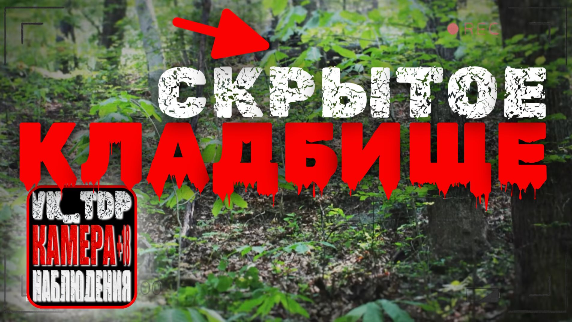 ⚡️Брошенный автомобиль в лесу привел полицию к тайному кладбищу убийцы. смотреть онлайн