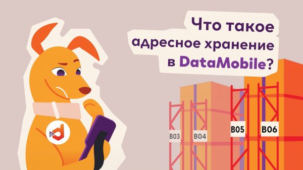 📦 Адресное хранение в DataMobile — порядок на складе и быстрый поиск товаров
