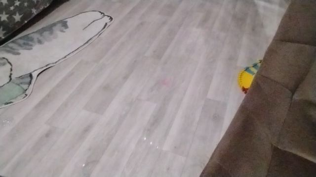 12 февраля 2026 смотреть онлайн