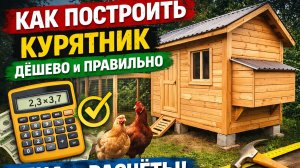 Как построить курятник дёшево и правильно. Реальные расчёты и без ошибок


Хотите построить курятник