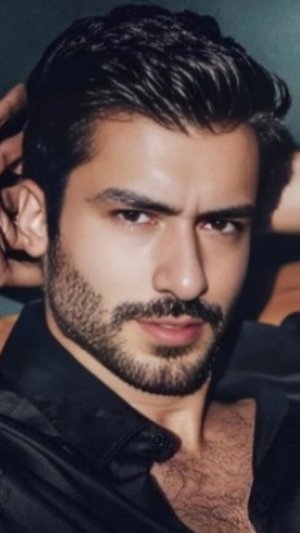 Любимая песня .