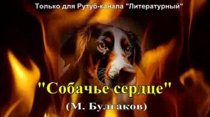 Собачье сердце