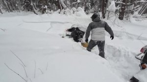 сам себе эвакуатор 14.02.26