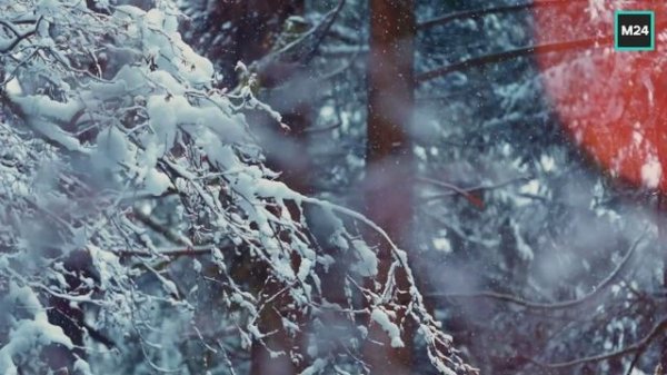 Февральский день в Москве | О Москве с любовью