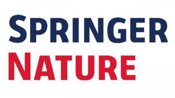 Как скачать книгу Springer Nature. How to download a book from the Springer Nature Link resource