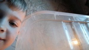 рома🥇🏆🥰🤗😁👍❤️🐢🐢