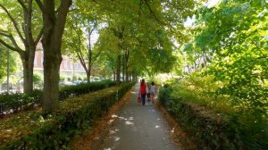 🚶 SmartTV 4К ➤ 🌺 Ботаническая набережная Ла-Променад - прогулка по беговой дорожке 🌺