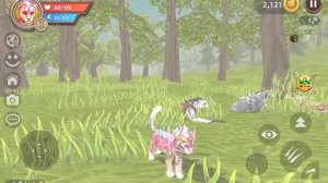 Слежу за игроками только в одиночной игре