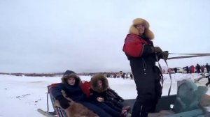 Зимние забавы