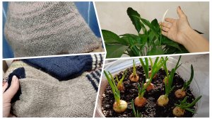 Еще парочка! Весна на подоконнике🪴, а за окном ......