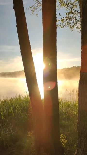 Мой путь.Дмитрий Бондарев