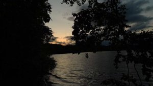 Звук лесного озера — звук воды озера и звуки природы | релакс и спокойствие без музыки