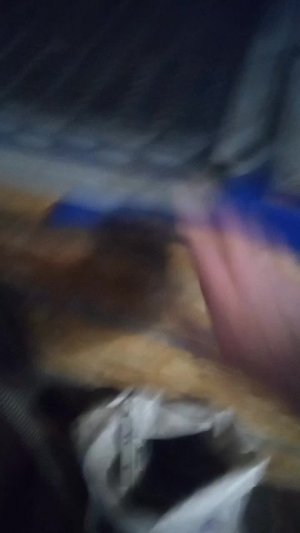 Всем доброе утро. У меня как всегда ночные непредвиденные работы на акваферме. Слава Богу вовремя...