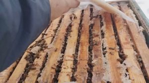 18.02.2026г. Ленинградская область