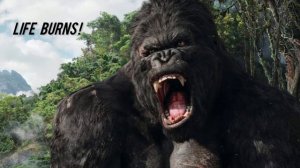 Apocalyptica - Life Burns!