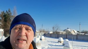 В середине февраля среднерусские пчёлы пошли на облёт