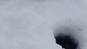 Удочки не забыл?