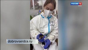 Эколог Минприроды Коми номинирована на международную премию "Мой ласковый и нужный зверь"