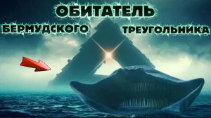 САМЫЙ ОПАСНЫЙ ОБИТАТЕЛЬ БЕРМУДСКОГО ТРЕУГОЛЬНИКА (Эль Гран Майя)