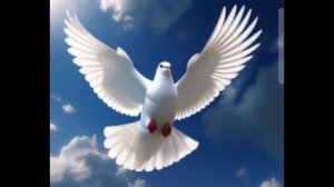 Балашовцы-герои СВО