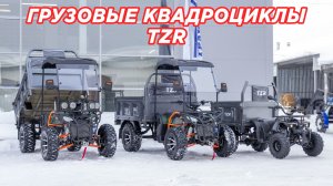Грузовой квадроцикл: TZR-300 или TZR-0200? Полный разбор линейки