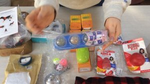 сти205. Зоо товары Маркетплайс